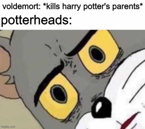Unsettled Tom | voldemort: *kills harry potter's parents*; potterheads: | image tagged in unsettled tom | made w/ Imgflip meme maker