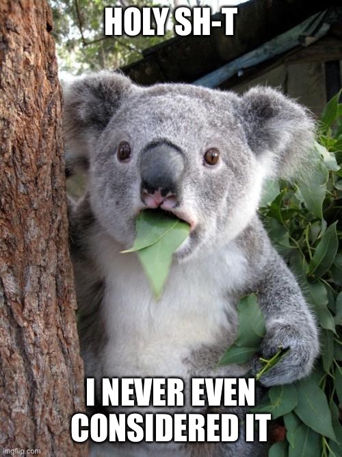 Surprised Koala Meme | HOLY SH-T I NEVER EVEN CONSIDERED IT | image tagged in memes,surprised koala | made w/ Imgflip meme maker