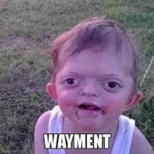 Wayment kid | image tagged in wayment kid | made w/ Imgflip meme maker