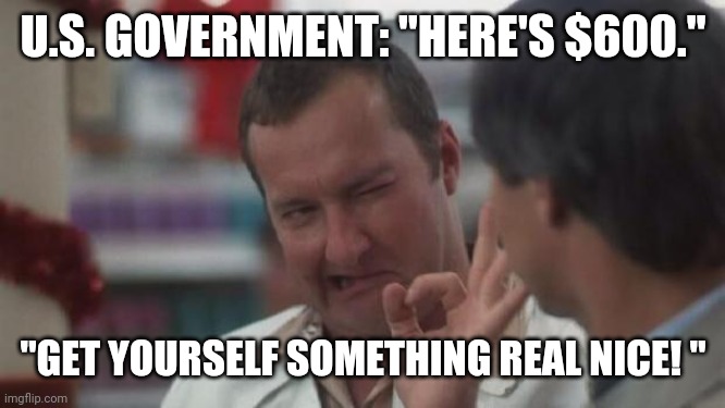 Real Nice - Christmas Vacation | U.S. GOVERNMENT: "HERE'S $600."; "GET YOURSELF SOMETHING REAL NICE! " | image tagged in real nice - christmas vacation | made w/ Imgflip meme maker