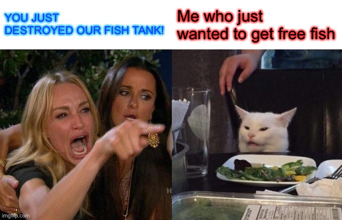 Woman Yelling At Cat |  YOU JUST DESTROYED OUR FISH TANK! Me who just wanted to get free fish | image tagged in memes,woman yelling at cat | made w/ Imgflip meme maker