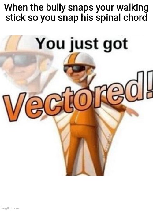 You just got vectored | When the bully snaps your walking stick so you snap his spinal chord | image tagged in you just got vectored | made w/ Imgflip meme maker