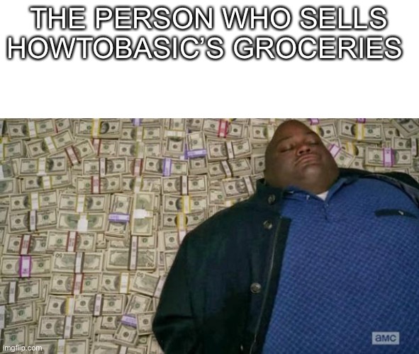 Swimming in money | THE PERSON WHO SELLS HOWTOBASIC’S GROCERIES | image tagged in huell money | made w/ Imgflip meme maker