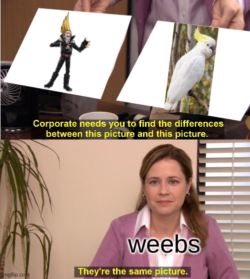 what. it's true tho | weebs | image tagged in memes,they're the same picture | made w/ Imgflip meme maker