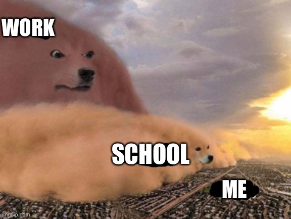 dust storm dog | WORK; SCHOOL; ME | image tagged in dust storm dog | made w/ Imgflip meme maker