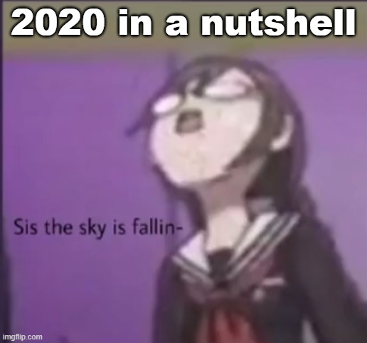 I hope 2021 will be better | 2020 in a nutshell | image tagged in danganronpa | made w/ Imgflip meme maker