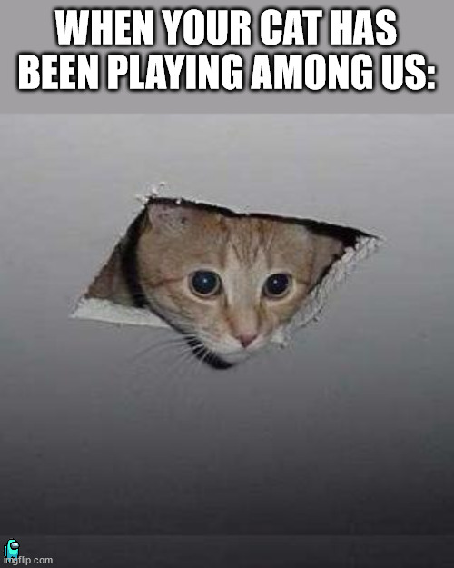 He vent away. | WHEN YOUR CAT HAS BEEN PLAYING AMONG US: | image tagged in memes,ceiling cat | made w/ Imgflip meme maker