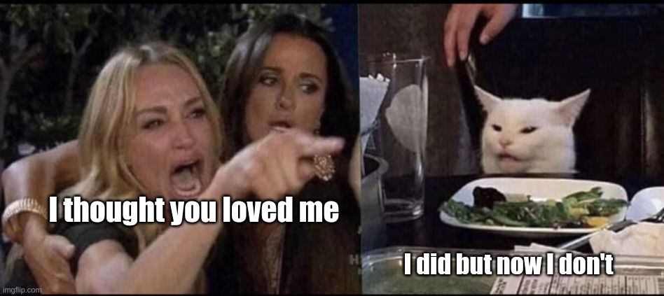 Karen Carpenter and Smudge Cat | I thought you loved me; I did but now I don't | image tagged in karen carpenter and smudge cat | made w/ Imgflip meme maker