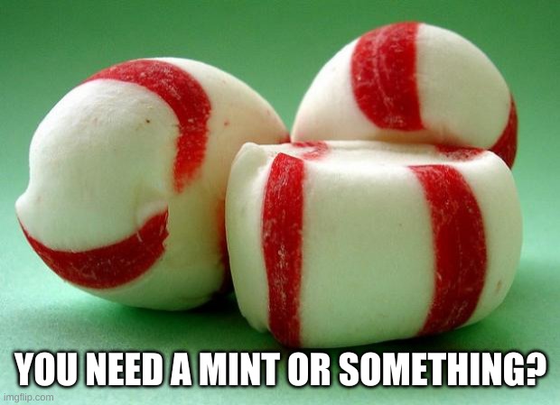 Mints | YOU NEED A MINT OR SOMETHING? | image tagged in mints | made w/ Imgflip meme maker