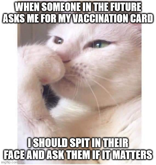 WHEN SOMEONE IN THE FUTURE ASKS ME FOR MY VACCINATION CARD; I SHOULD SPIT IN THEIR FACE AND ASK THEM IF IT MATTERS | image tagged in covid-19,covidiots | made w/ Imgflip meme maker