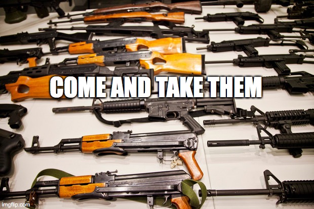 The Laconians Had Something There... | COME AND TAKE THEM | image tagged in gun control,second amendment | made w/ Imgflip meme maker