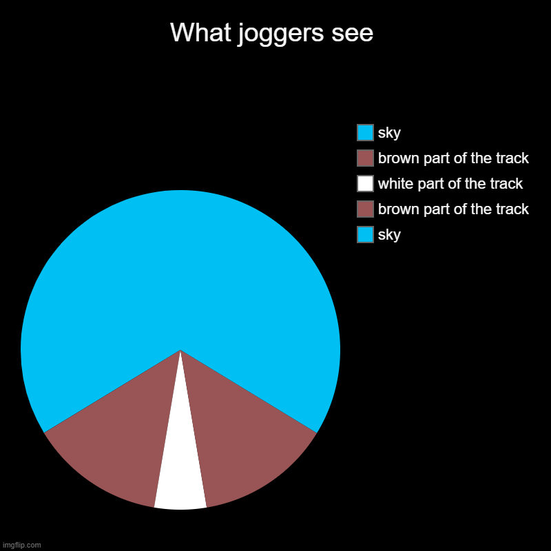 What joggers see | What joggers see | sky, brown part of the track, white part of the track, brown part of the track, sky | image tagged in charts,pie charts | made w/ Imgflip chart maker