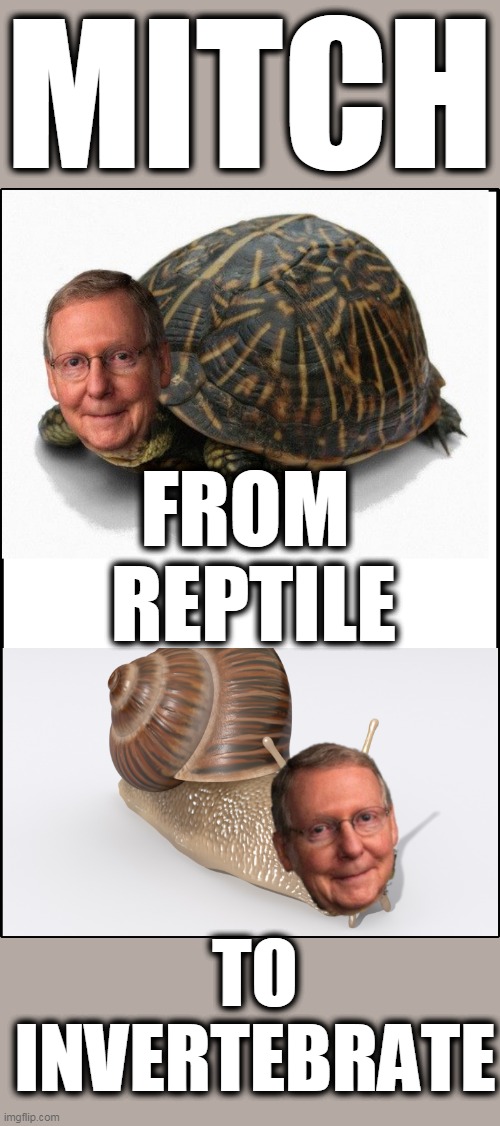 IMitch from Reptile to invertebrate |  MITCH; FROM 
REPTILE; TO INVERTEBRATE | image tagged in mitch the turtle,mitch mcdonnel,mitch the snail,mitch rino sellout | made w/ Imgflip meme maker