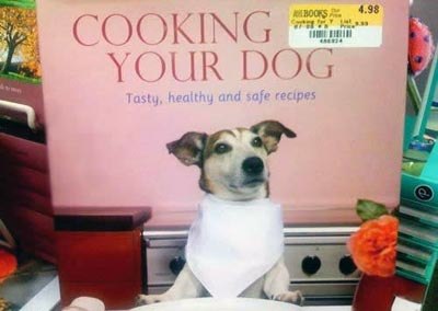 High Quality Cooking your dog! Blank Meme Template