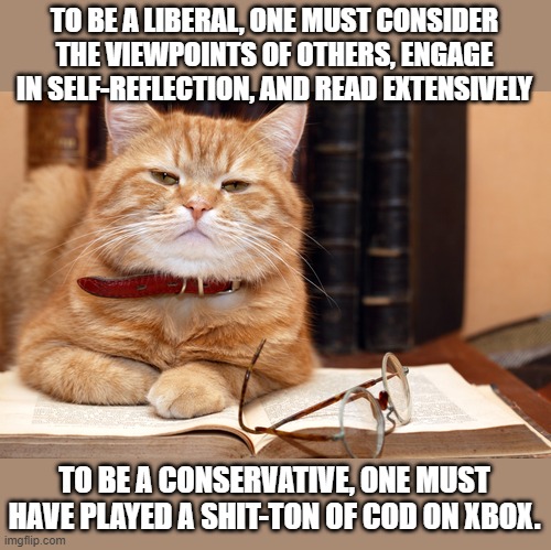 Scholar Cat | TO BE A LIBERAL, ONE MUST CONSIDER THE VIEWPOINTS OF OTHERS, ENGAGE IN SELF-REFLECTION, AND READ EXTENSIVELY; TO BE A CONSERVATIVE, ONE MUST HAVE PLAYED A SHIT-TON OF COD ON XBOX. | image tagged in scholar cat | made w/ Imgflip meme maker