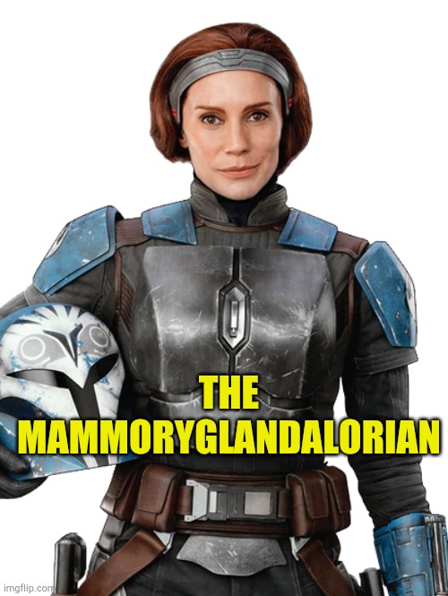 MammoryGlandalorian | THE
MAMMORYGLANDALORIAN | image tagged in the mandalorian,sjw,fake people,virtue signalling,sexual narcissism | made w/ Imgflip meme maker