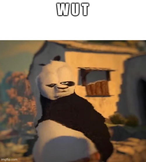 Drunk Kung Fu Panda | W U T | image tagged in drunk kung fu panda | made w/ Imgflip meme maker