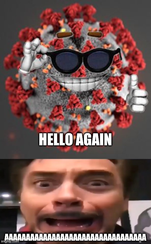 HELLO AGAIN; AAAAAAAAAAAAAAAAAAAAAAAAAAAAAAAAA | image tagged in coronavirus,robert downey jr screaming,reeeeeeeeeeeeeeeeeeeeee,noooooooooooooooooooooooo,aaaaaaaaaaa,shiiiiiiiiit | made w/ Imgflip meme maker