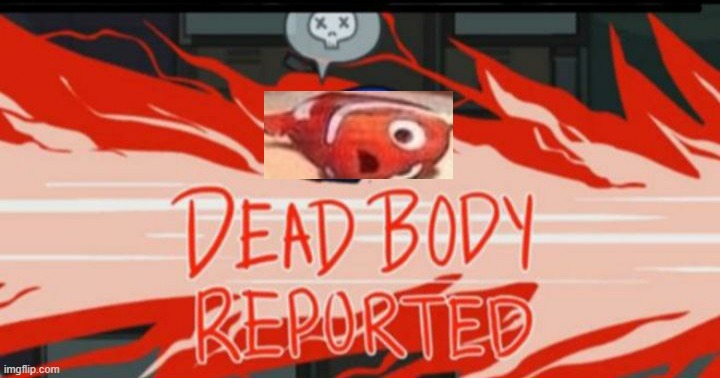 Dead body reported | image tagged in dead body reported | made w/ Imgflip meme maker