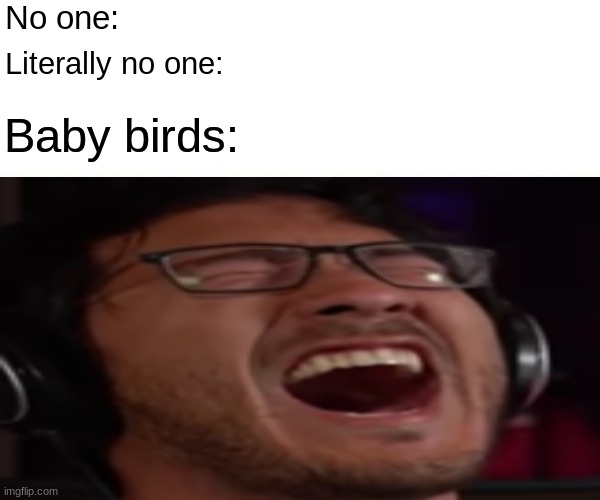 Bruh | No one:; Literally no one:; Baby birds: | image tagged in birds | made w/ Imgflip meme maker