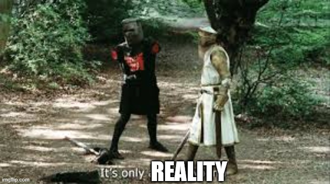 It's Just a Flesh Wound | REALITY | image tagged in it's just a flesh wound | made w/ Imgflip meme maker