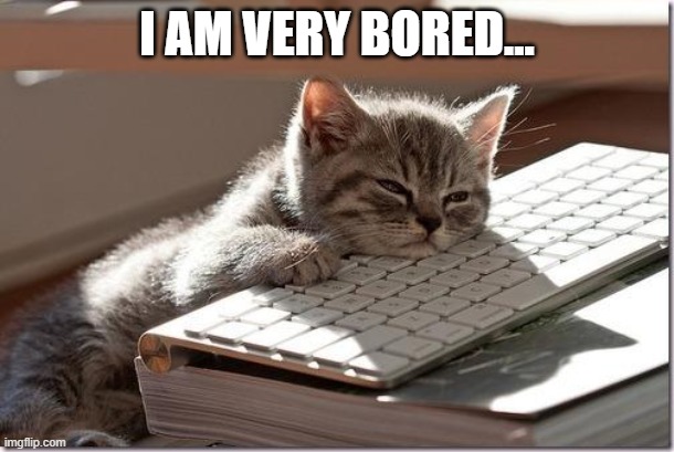 Bored Keyboard Cat | I AM VERY BORED... | image tagged in bored keyboard cat | made w/ Imgflip meme maker