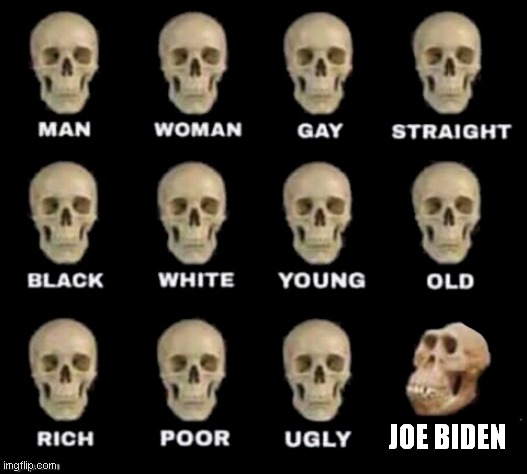 idiot skull | JOE BIDEN | image tagged in idiot skull | made w/ Imgflip meme maker