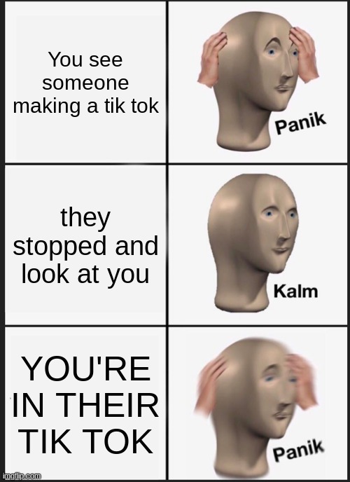 PANIK | You see someone making a tik tok; they stopped and look at you; YOU'RE IN THEIR TIK TOK | image tagged in memes,panik kalm panik | made w/ Imgflip meme maker
