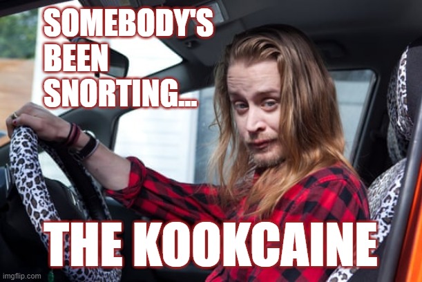 You're a Kook! | SOMEBODY'S BEEN SNORTING... THE KOOKCAINE | image tagged in kook,crazy,nutso,wtf | made w/ Imgflip meme maker
