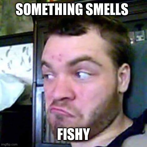 Something Fishy | SOMETHING SMELLS FISHY | image tagged in something fishy | made w/ Imgflip meme maker