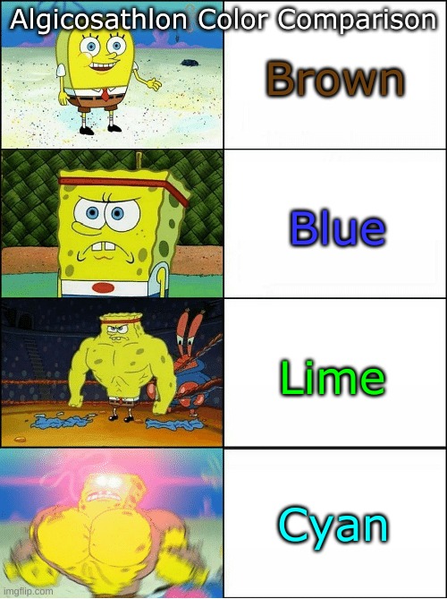 algicosathlon color comparison | Brown; Algicosathlon Color Comparison; Blue; Lime; Cyan | image tagged in sponge finna commit muder | made w/ Imgflip meme maker