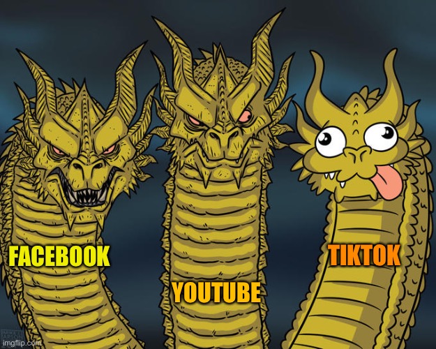 Three-headed Dragon | TIKTOK; FACEBOOK; YOUTUBE | image tagged in three-headed dragon | made w/ Imgflip meme maker
