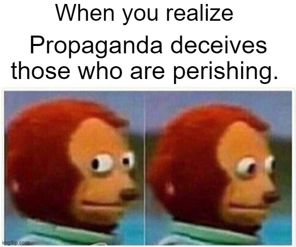 Monkey Puppet Meme | When you realize; Propaganda deceives those who are perishing. | image tagged in memes,monkey puppet | made w/ Imgflip meme maker