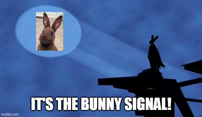 batman signal | IT'S THE BUNNY SIGNAL! | image tagged in batman signal | made w/ Imgflip meme maker