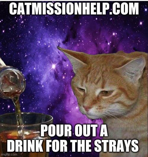RIP TOOTS LIL FIGHTER | CATMISSIONHELP.COM; POUR OUT A DRINK FOR THE STRAYS | image tagged in rip toots lil fighter | made w/ Imgflip meme maker