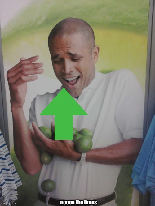 Why Can't I Hold All These Limes Meme | noooo the limes | image tagged in memes,why can't i hold all these limes | made w/ Imgflip meme maker