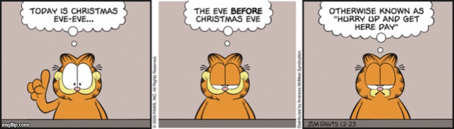 i completely agree with garfield here | image tagged in christmas,garfield,repost | made w/ Imgflip meme maker