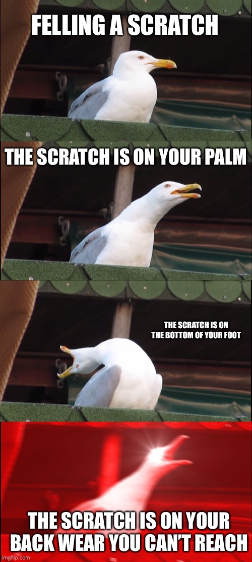 Inhaling Seagull Meme | FELLING A SCRATCH; THE SCRATCH IS ON YOUR PALM; THE SCRATCH IS ON THE BOTTOM OF YOUR FOOT; THE SCRATCH IS ON YOUR BACK WEAR YOU CAN’T REACH | image tagged in memes,inhaling seagull | made w/ Imgflip meme maker