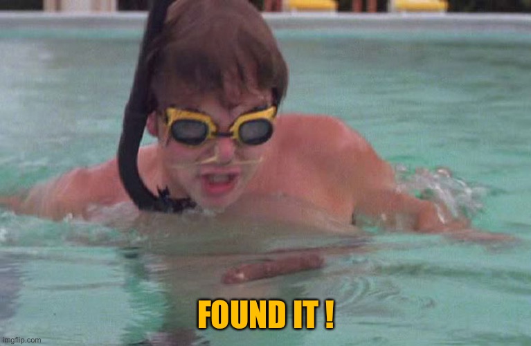 Caddyshack swimming pool doodie | FOUND IT ! | image tagged in caddyshack swimming pool doodie | made w/ Imgflip meme maker