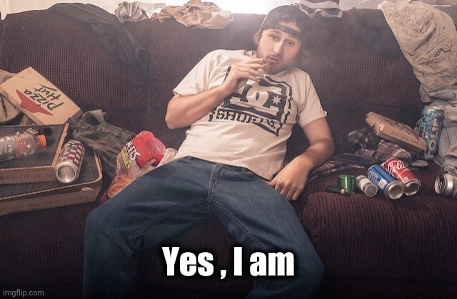 Stoner on couch | Yes , I am | image tagged in stoner on couch | made w/ Imgflip meme maker