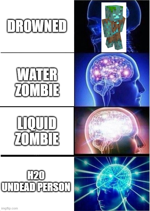 Expanding Brain Meme | DROWNED; WATER ZOMBIE; LIQUID ZOMBIE; H20 UNDEAD PERSON | image tagged in memes,expanding brain | made w/ Imgflip meme maker