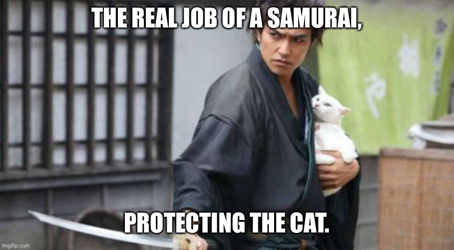 Samurai Protecting Cat | THE REAL JOB OF A SAMURAI, PROTECTING THE CAT. | image tagged in samurai protecting cat | made w/ Imgflip meme maker