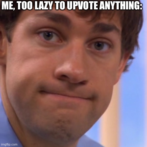 Welp Jim face | ME, TOO LAZY TO UPVOTE ANYTHING: | image tagged in welp jim face | made w/ Imgflip meme maker