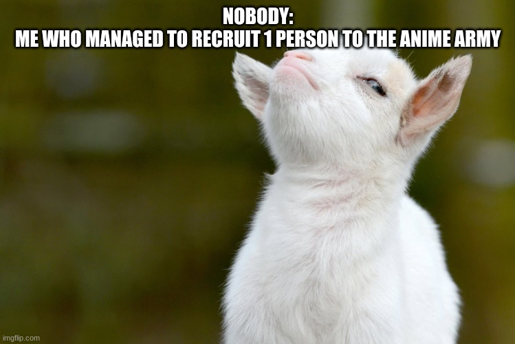 Well done | NOBODY:
ME WHO MANAGED TO RECRUIT 1 PERSON TO THE ANIME ARMY | image tagged in proud baby goat,gangstablook was here | made w/ Imgflip meme maker