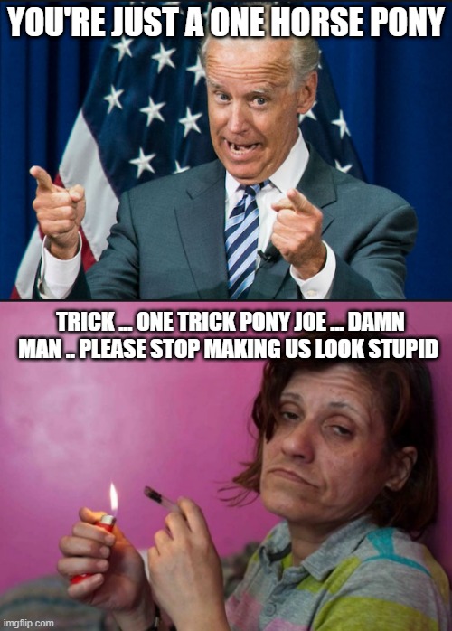 YOU'RE JUST A ONE HORSE PONY; TRICK ... ONE TRICK PONY JOE ... DAMN MAN .. PLEASE STOP MAKING US LOOK STUPID | image tagged in crack | made w/ Imgflip meme maker