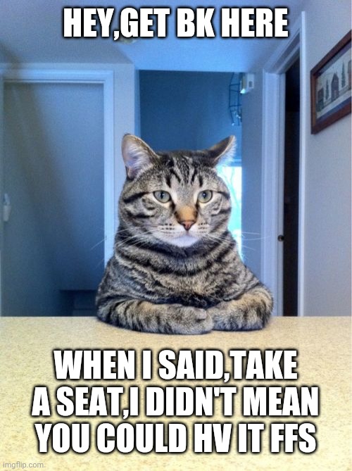 Take A Seat Cat Meme | HEY,GET BK HERE; WHEN I SAID,TAKE A SEAT,I DIDN'T MEAN YOU COULD HV IT FFS | image tagged in memes,take a seat cat | made w/ Imgflip meme maker