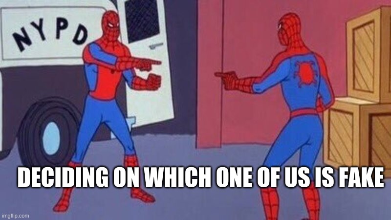 spiderman pointing at spiderman | DECIDING ON WHICH ONE OF US IS FAKE | image tagged in spiderman pointing at spiderman | made w/ Imgflip meme maker