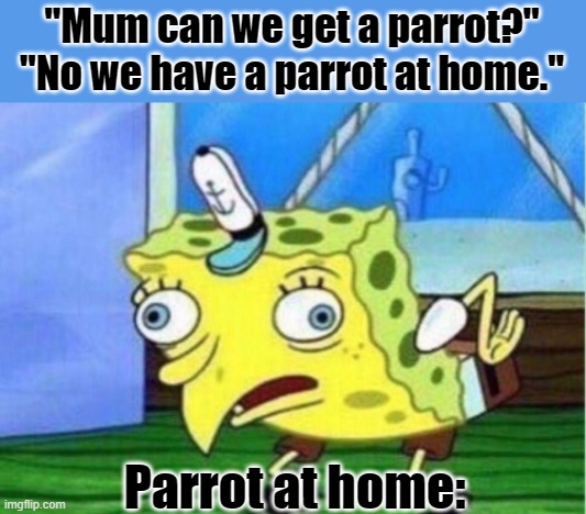 Parrot | "Mum can we get a parrot?"
"No we have a parrot at home."; Parrot at home: | image tagged in memes,mocking spongebob | made w/ Imgflip meme maker