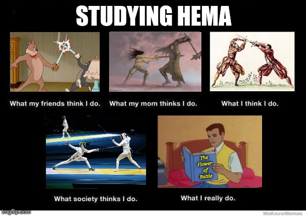 This stream is so dead rn lol | STUDYING HEMA; The Flower of Battle | image tagged in what they think i do | made w/ Imgflip meme maker
