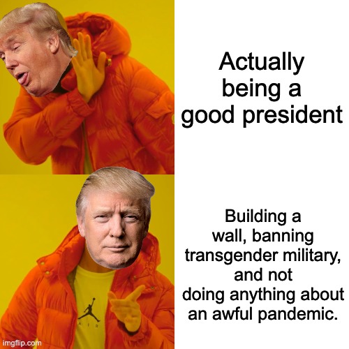 Drake Hotline Bling | Actually being a good president; Building a wall, banning transgender military, and not doing anything about an awful pandemic. | image tagged in memes,drake hotline bling | made w/ Imgflip meme maker